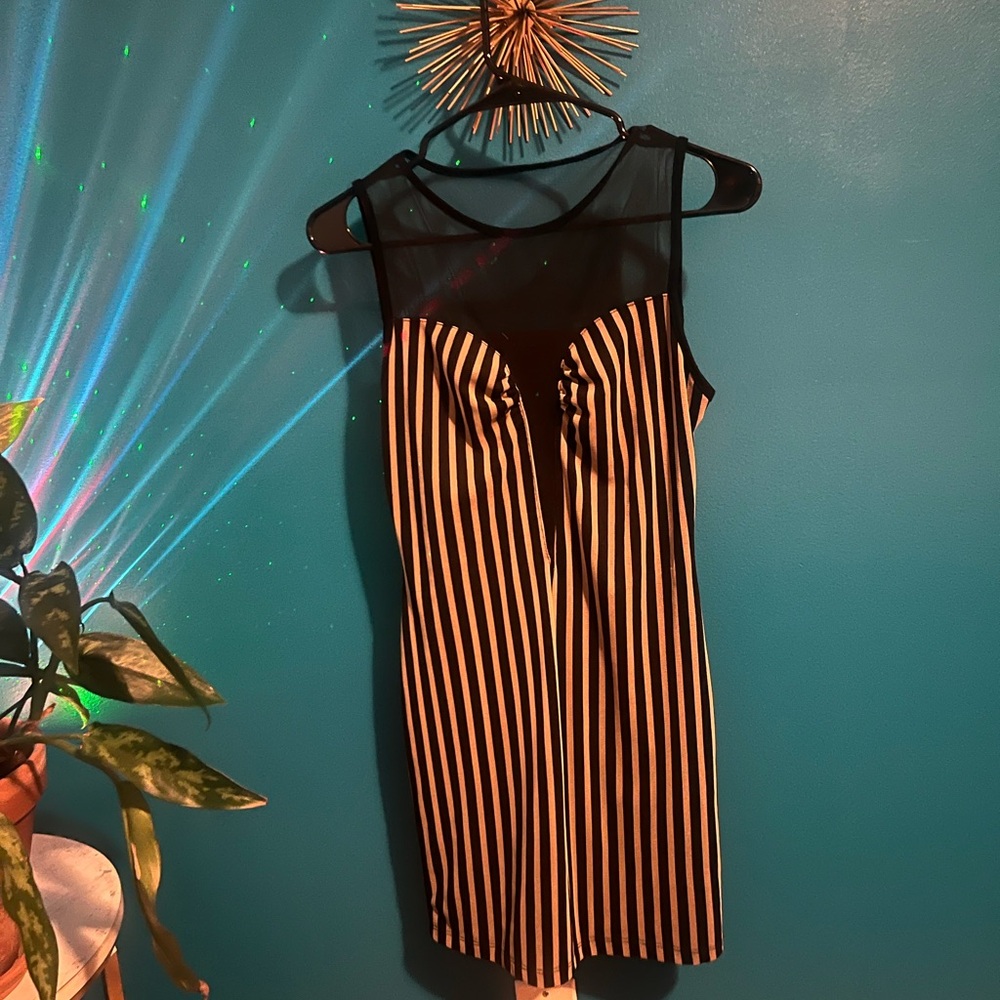 Mesh Bodycon Dress